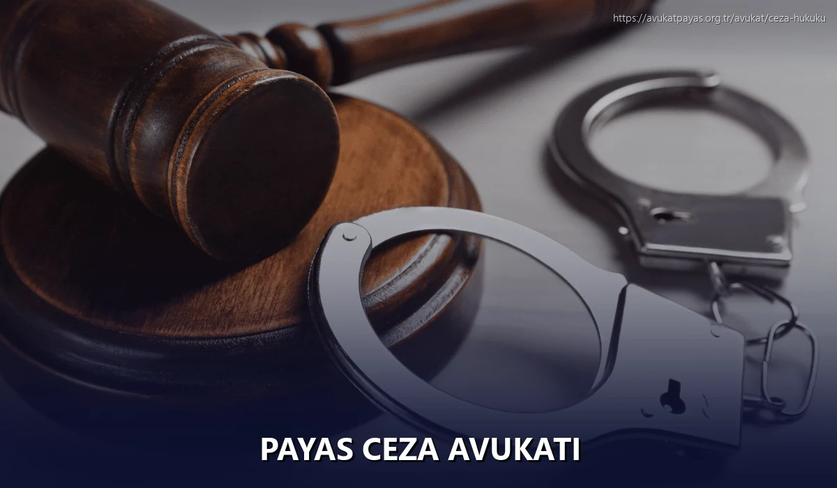 Payas Ceza Avukatı