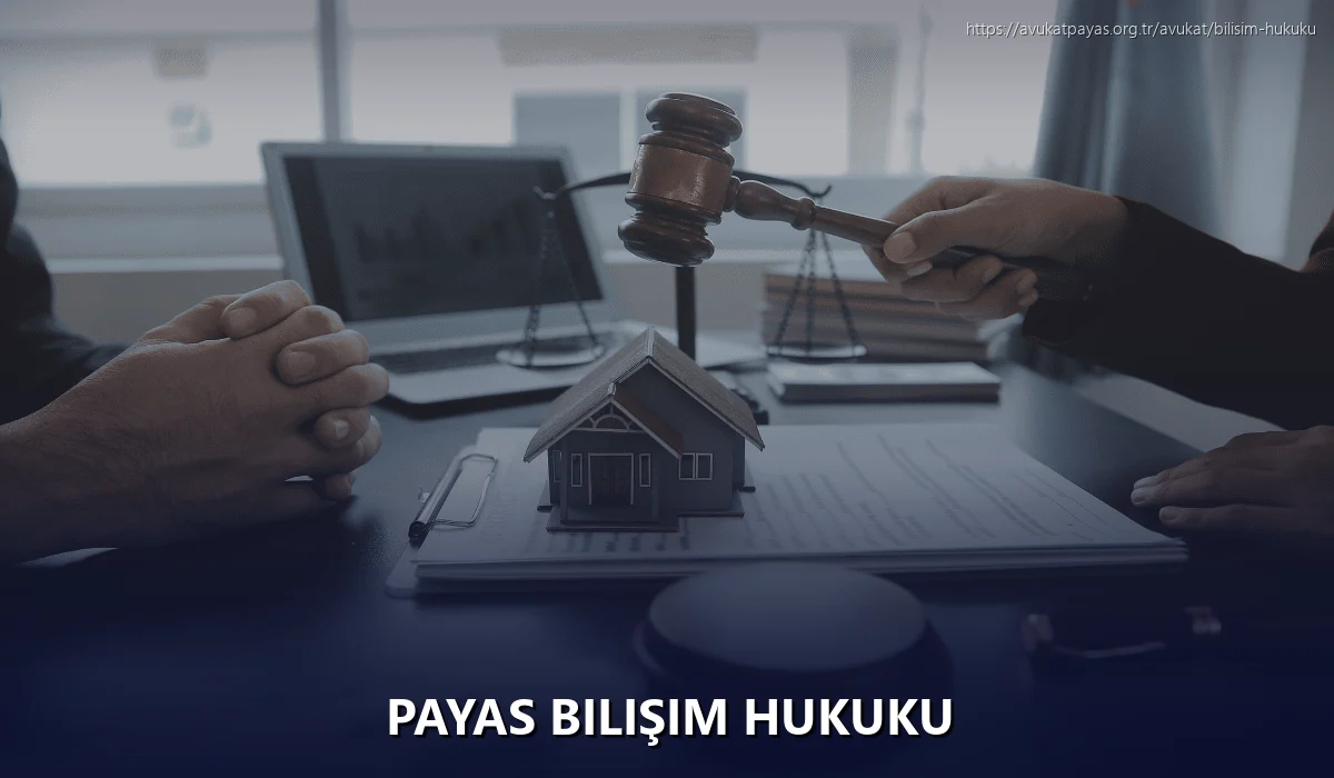 Payas Bilişim Hukuku