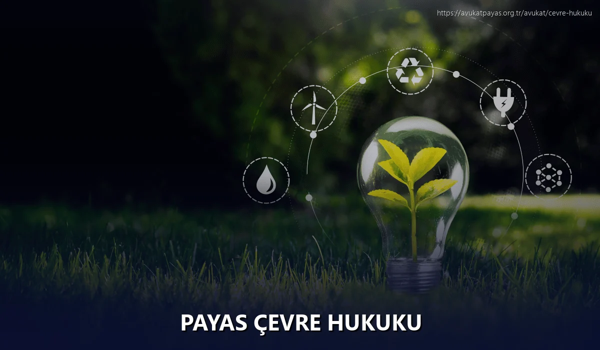 Payas Çevre Hukuku