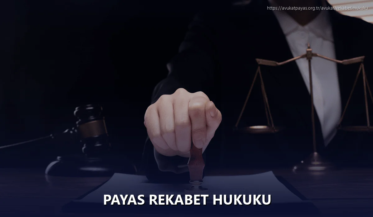 Payas Rekabet Hukuku