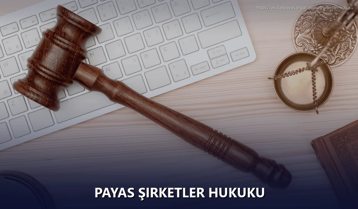 Payas Şirketler Hukuku
